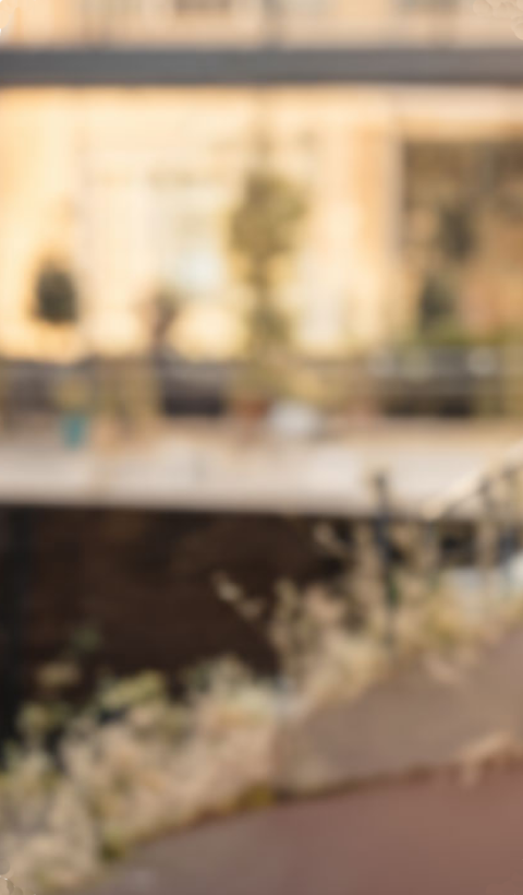 Main Content Photo Background